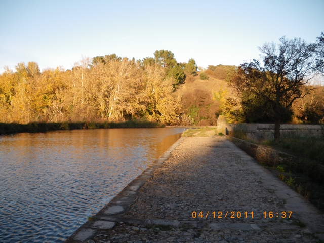 IMGP8348